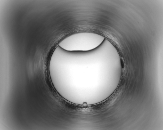 X0000094330306200711021136