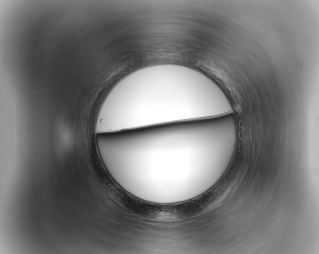 X0000094330308200711021136