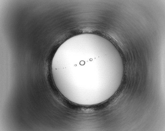 X0000094330311200711021136