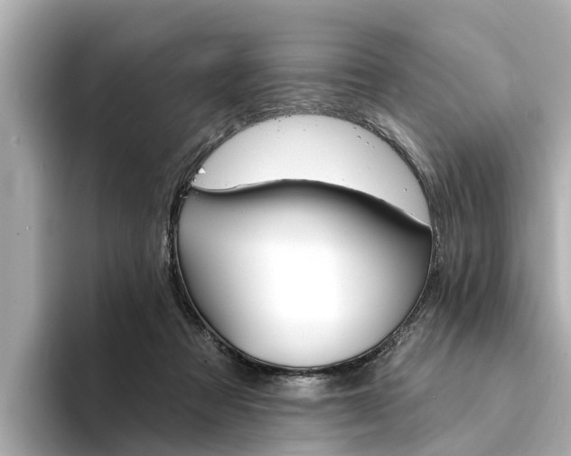 X0000094330313200711021136
