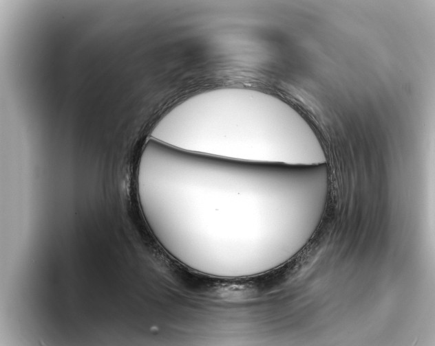 X0000094330315200711021136