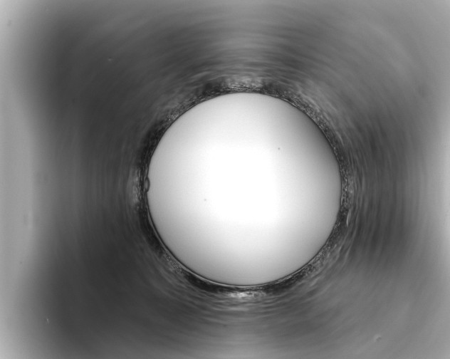 X0000094330323200711021136