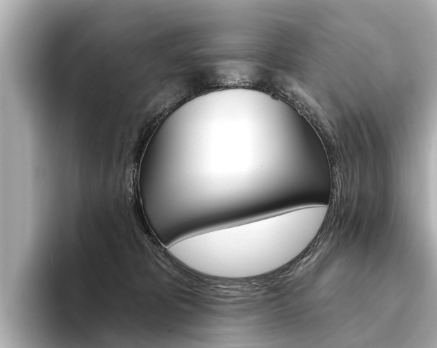 X0000094330325200711021136