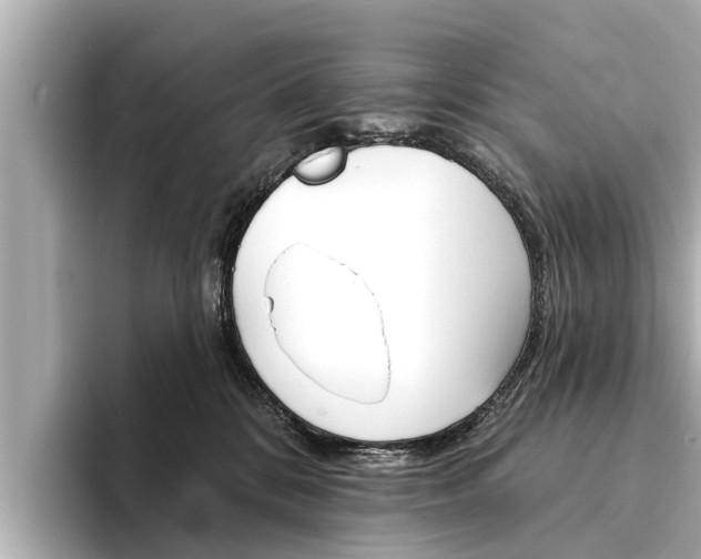 X0000094330328200711021135