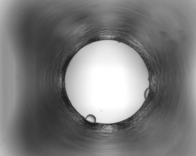 X0000094330330200711021135