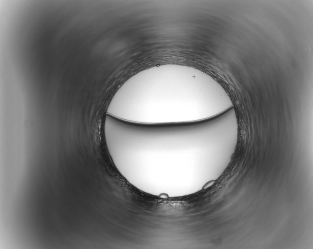 X0000094330332200711021135