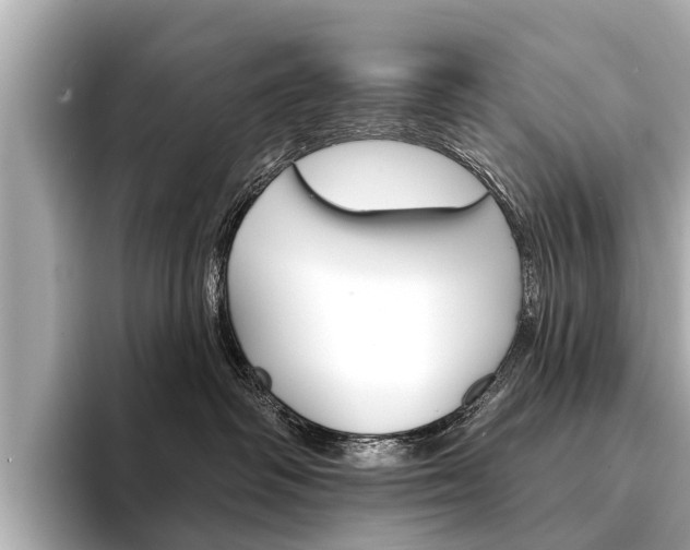 X0000094330334200711021135
