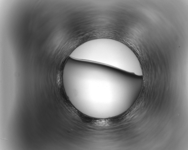 X0000094330335200711021135