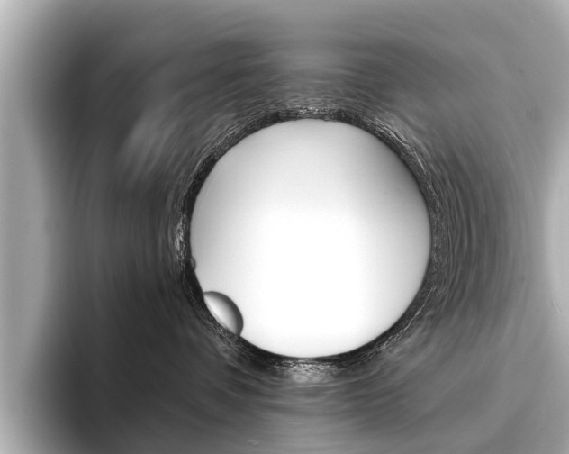X0000094330336200711021135