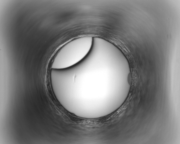 X0000094330338200711021135