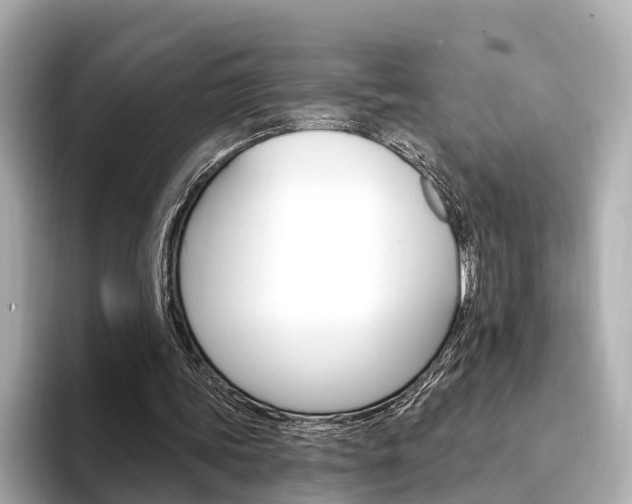 X0000094330339200711021135