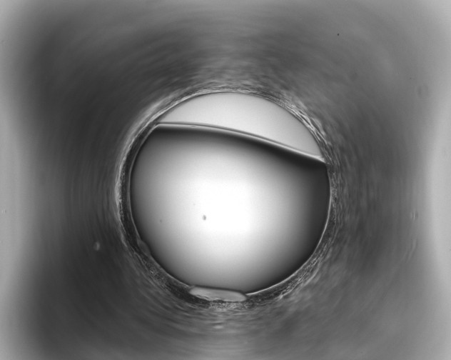X0000094330340200711021135