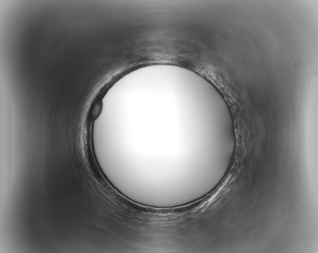 X0000094330342200711021135
