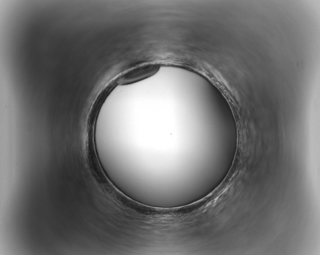 X0000094330344200711021135