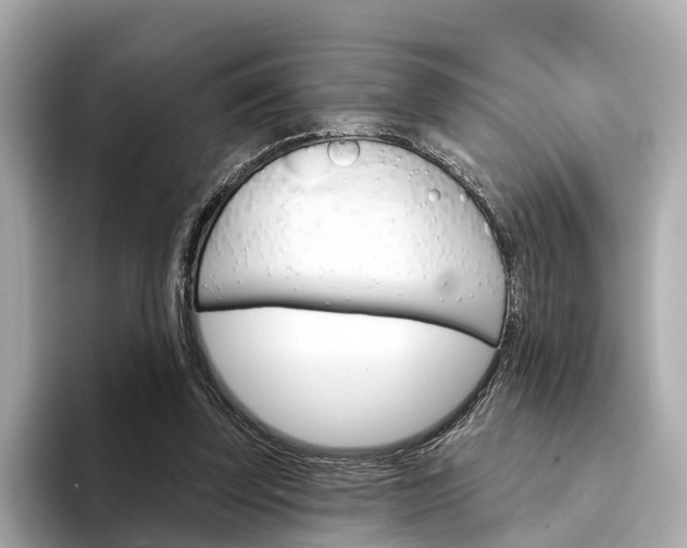 X0000094330347200711021135