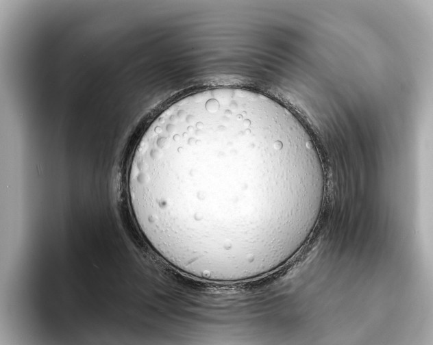 X0000094330351200711021135