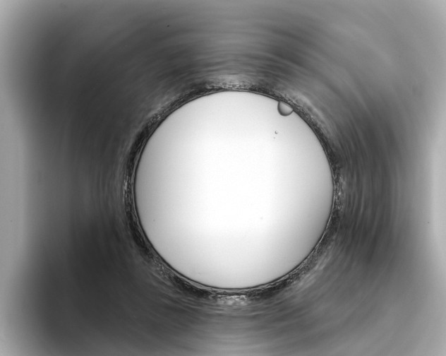 X0000094330355200711021135