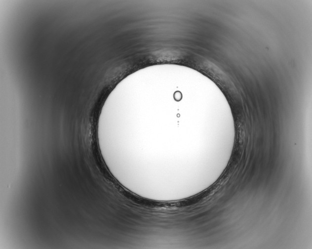 X0000094330362200711021135