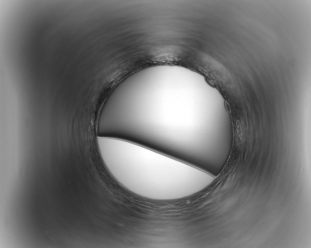 X0000094330364200711021135