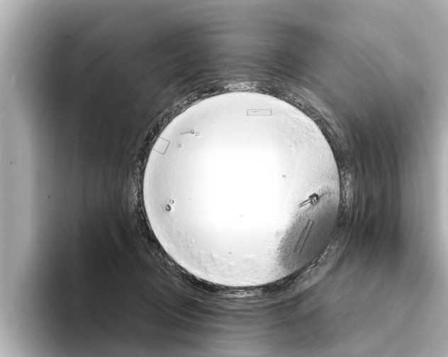 X0000094330370200711021135