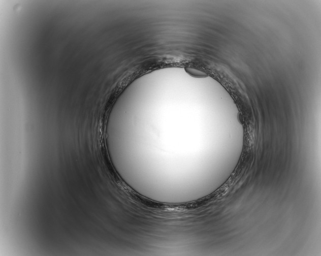 X0000094330376200711021135