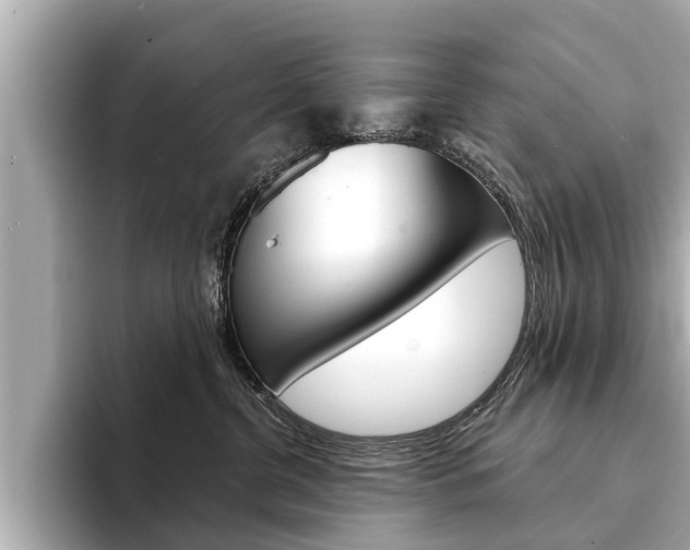 X0000094330380200711021135