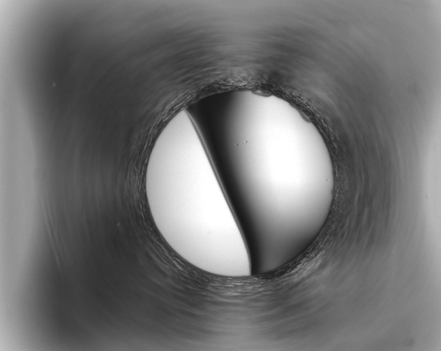 X0000094330384200711021135