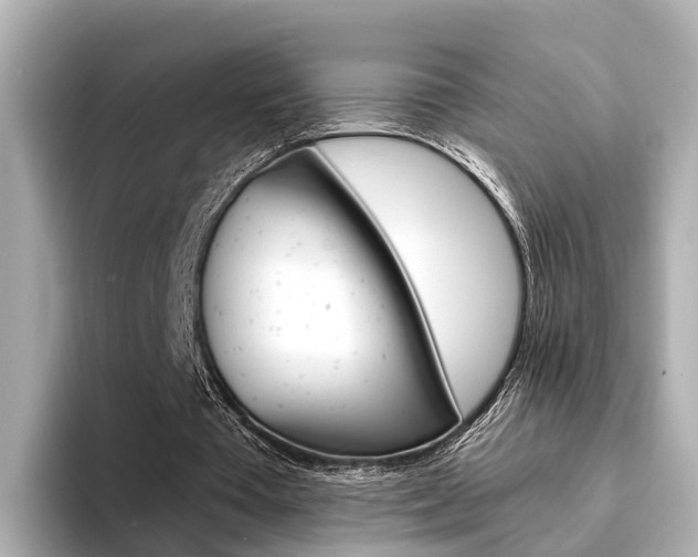 X0000094330385200711021135