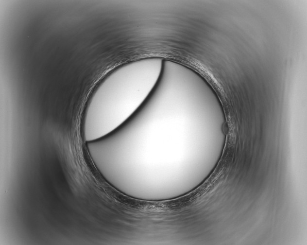 X0000094330386200711021135