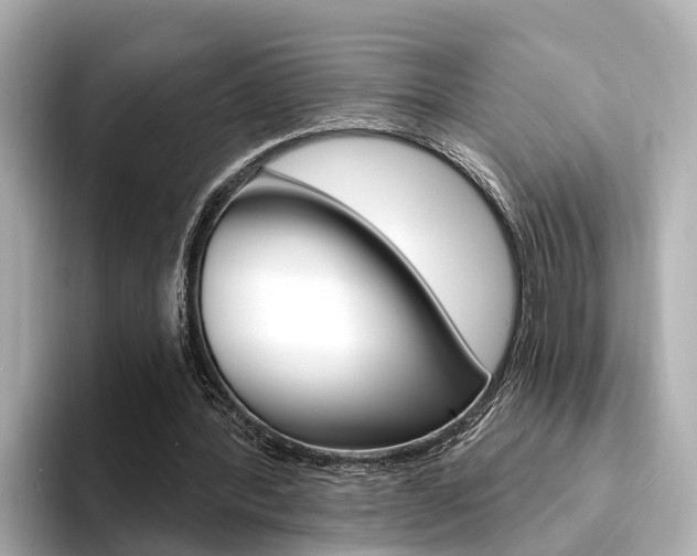 X0000094330388200711021135