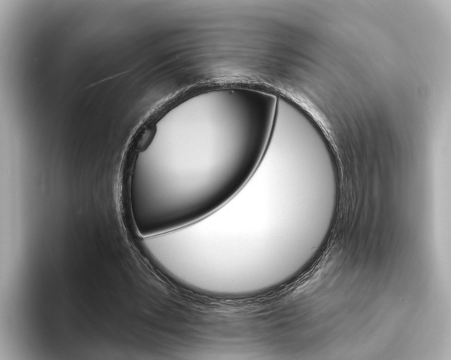 X0000094330391200711021135