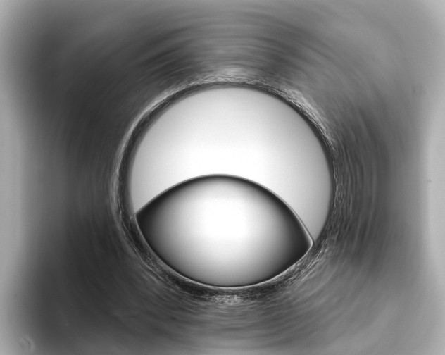 X0000094330392200711021135