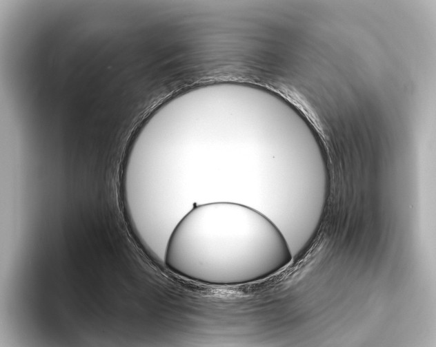 X0000094330393200711021135