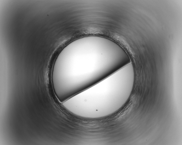 X0000094330395200711021135