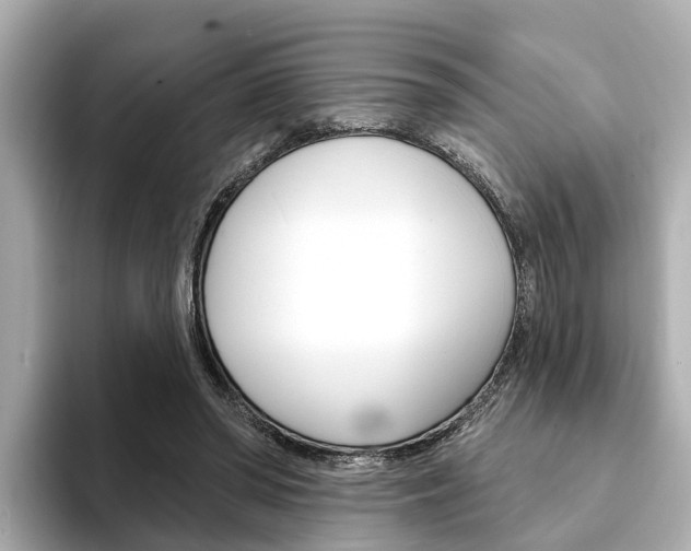 X0000094330398200711021135
