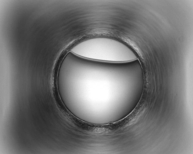X0000094330399200711021135