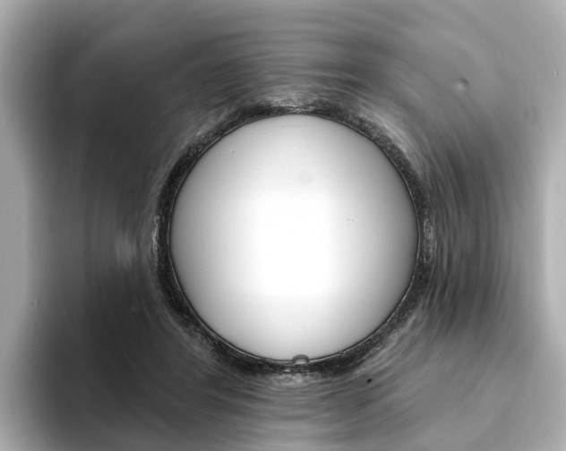 X0000094330404200711021135
