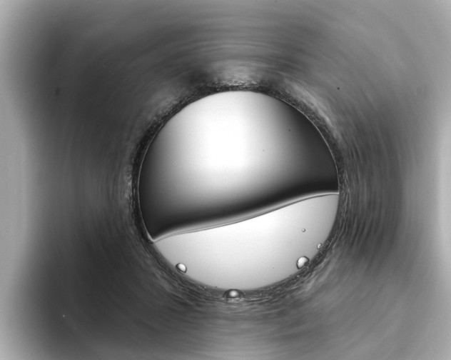 X0000094330407200711021135