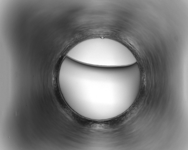X0000094330408200711021135