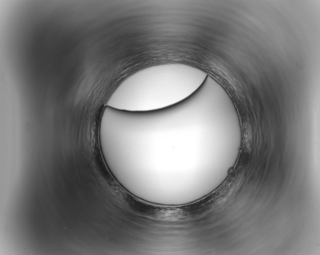 X0000094330410200711021135