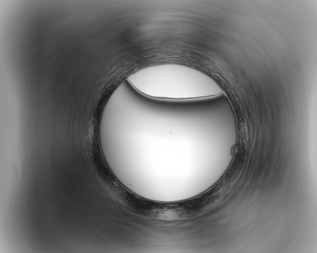 X0000094330412200711021134