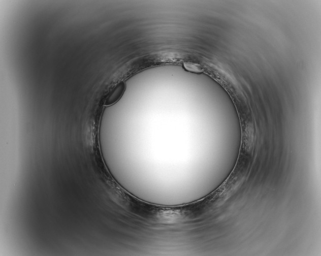 X0000094330413200711021134