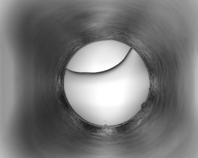 X0000094330418200711021134