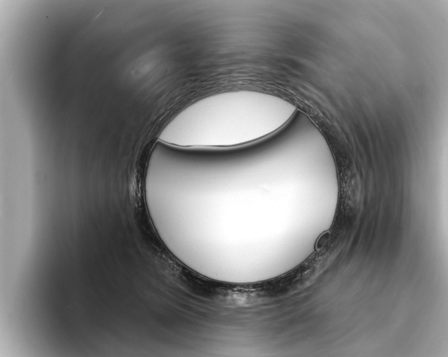 X0000094330420200711021134
