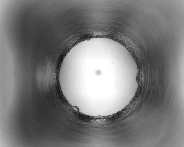 X0000094330422200711021134