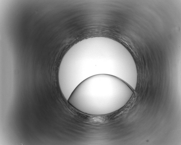 X0000094330423200711021134