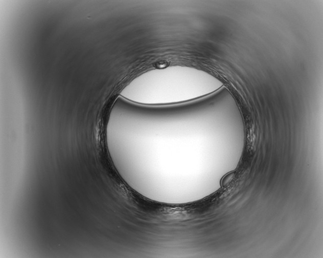 X0000094330424200711021134