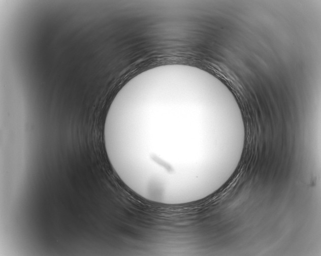 X0000094330425200711021134