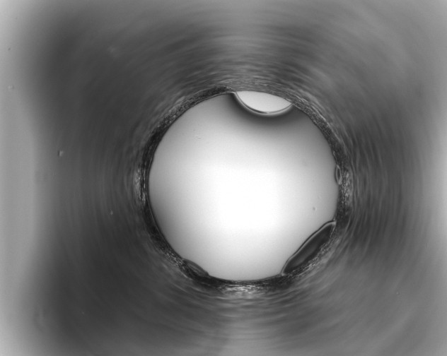 X0000094330428200711021134