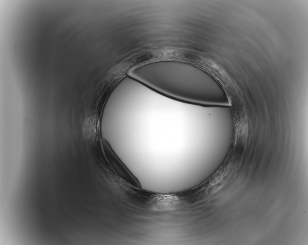 X0000094330429200711021134
